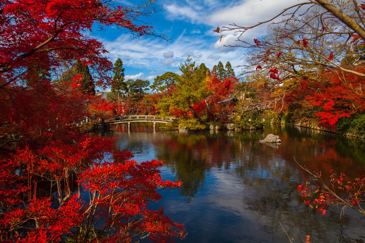 japanese asia foliage free photo