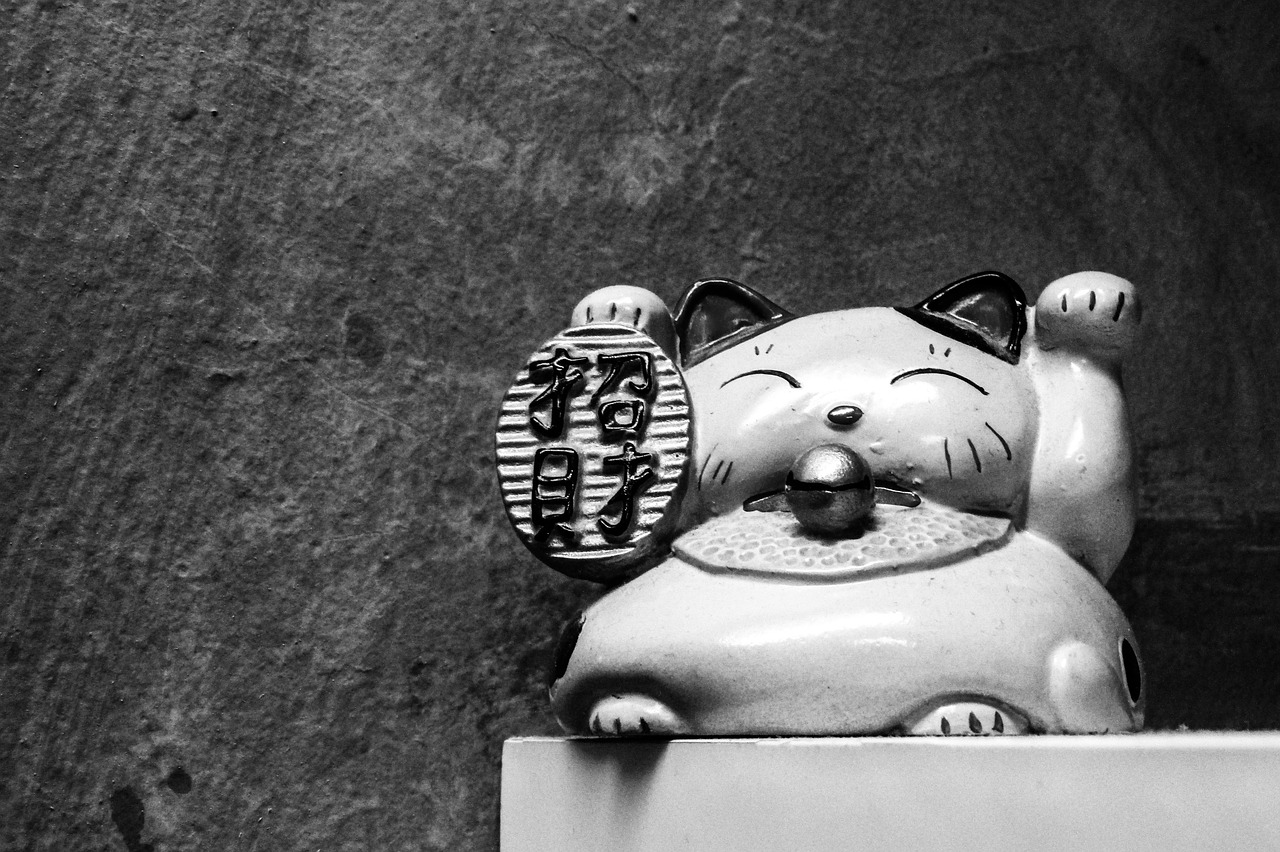 japanese cat neko free photo
