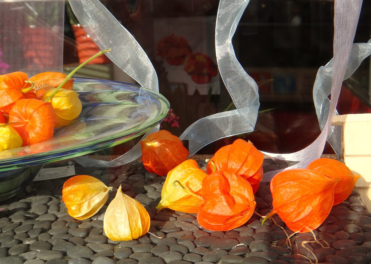 japanese lanterns orange free photo