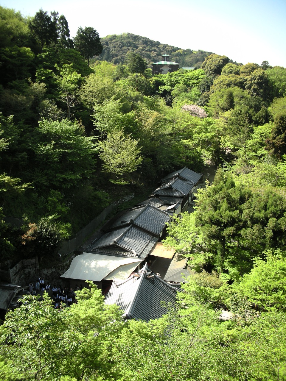 japanese architecture scene landscape free photo