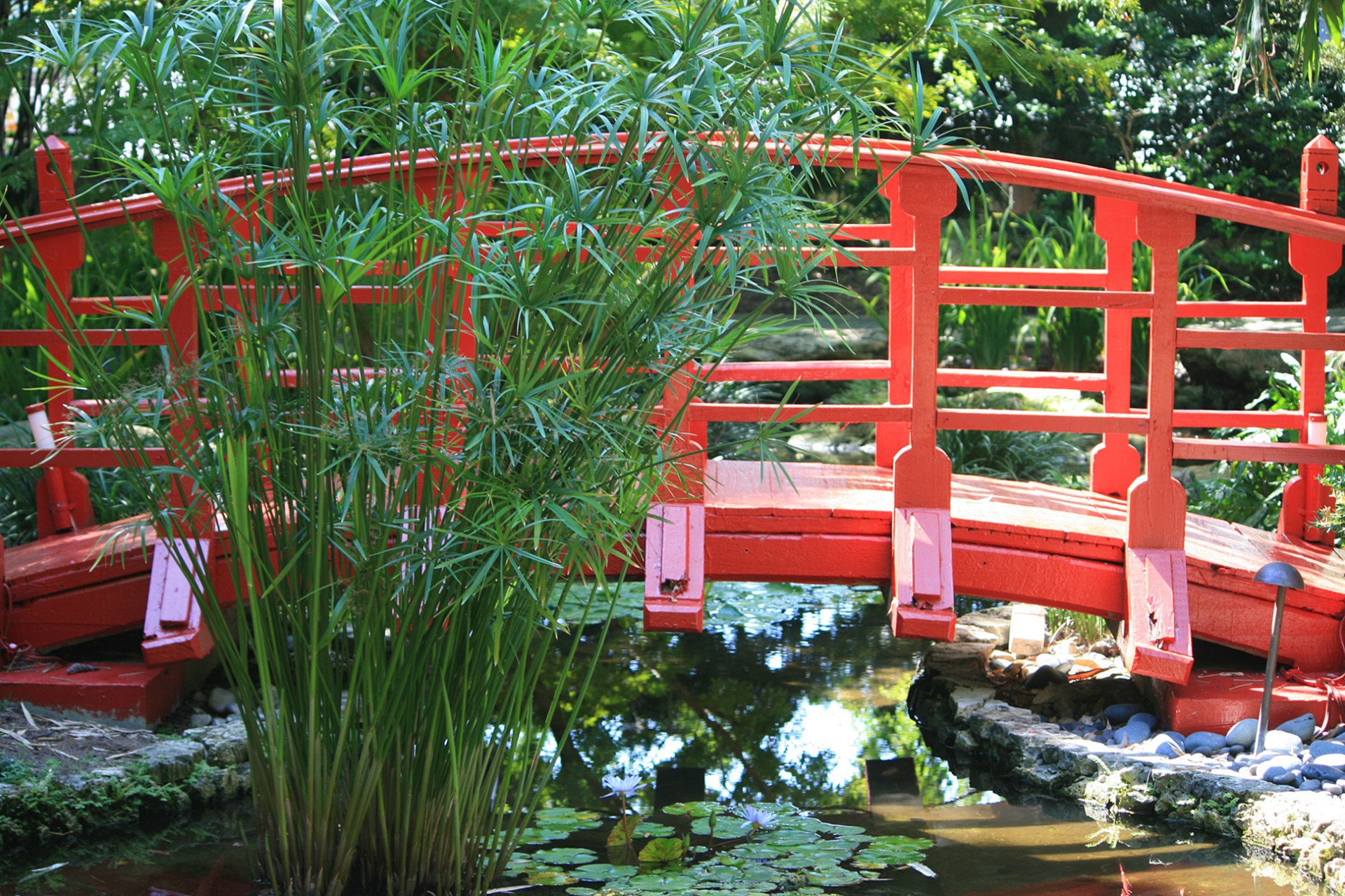japanese bridge bridge garden free photo