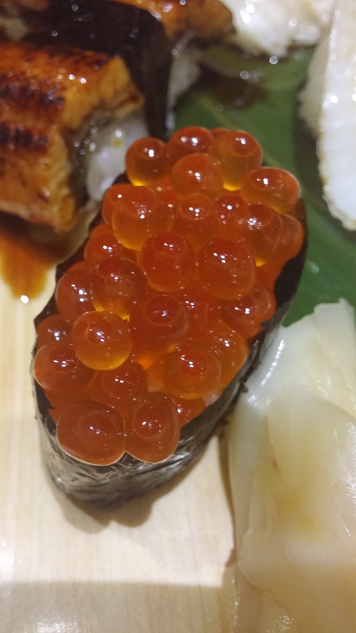 japanese food sushi food free photo