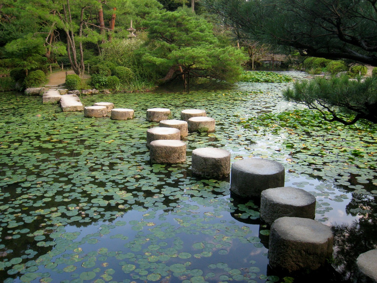 japanese garden kyoto japan free photo