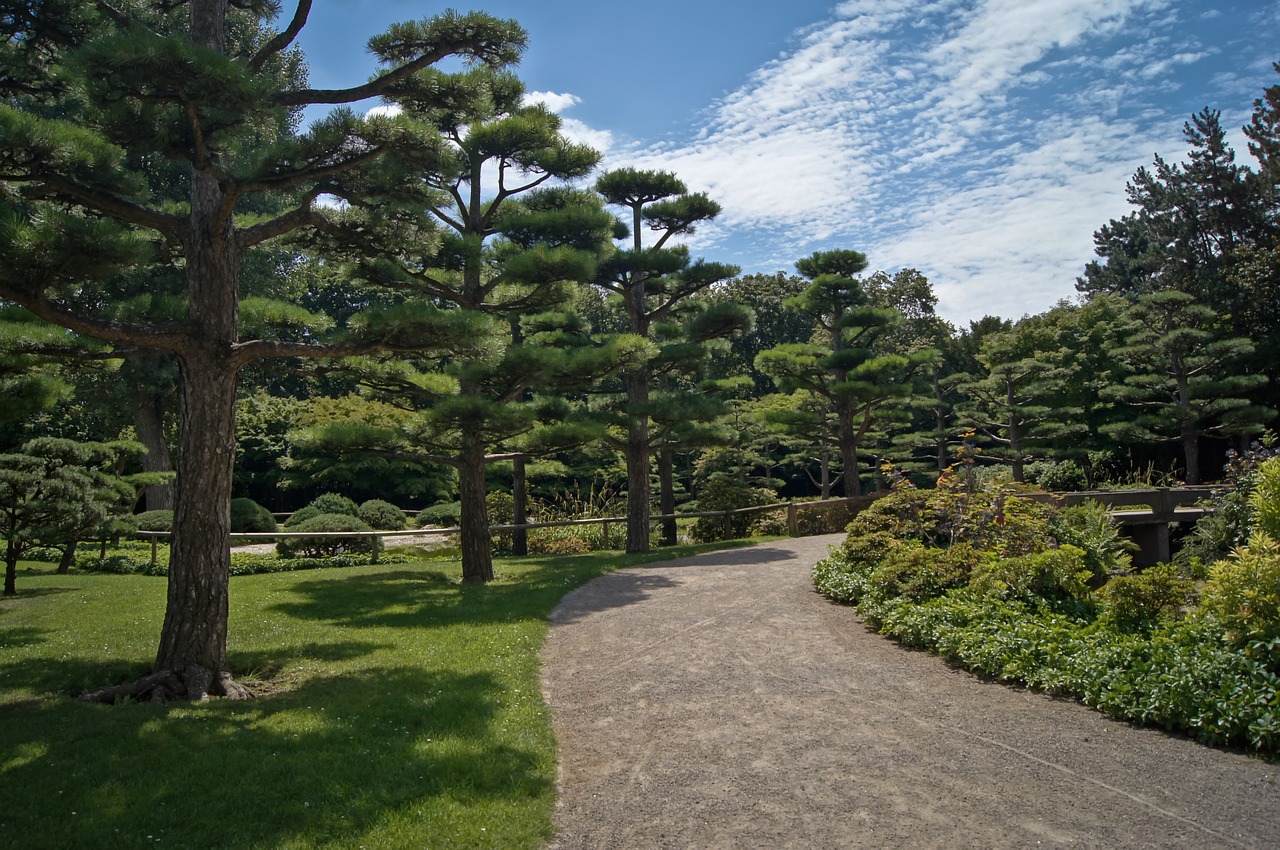 japanese garden trees rest free photo
