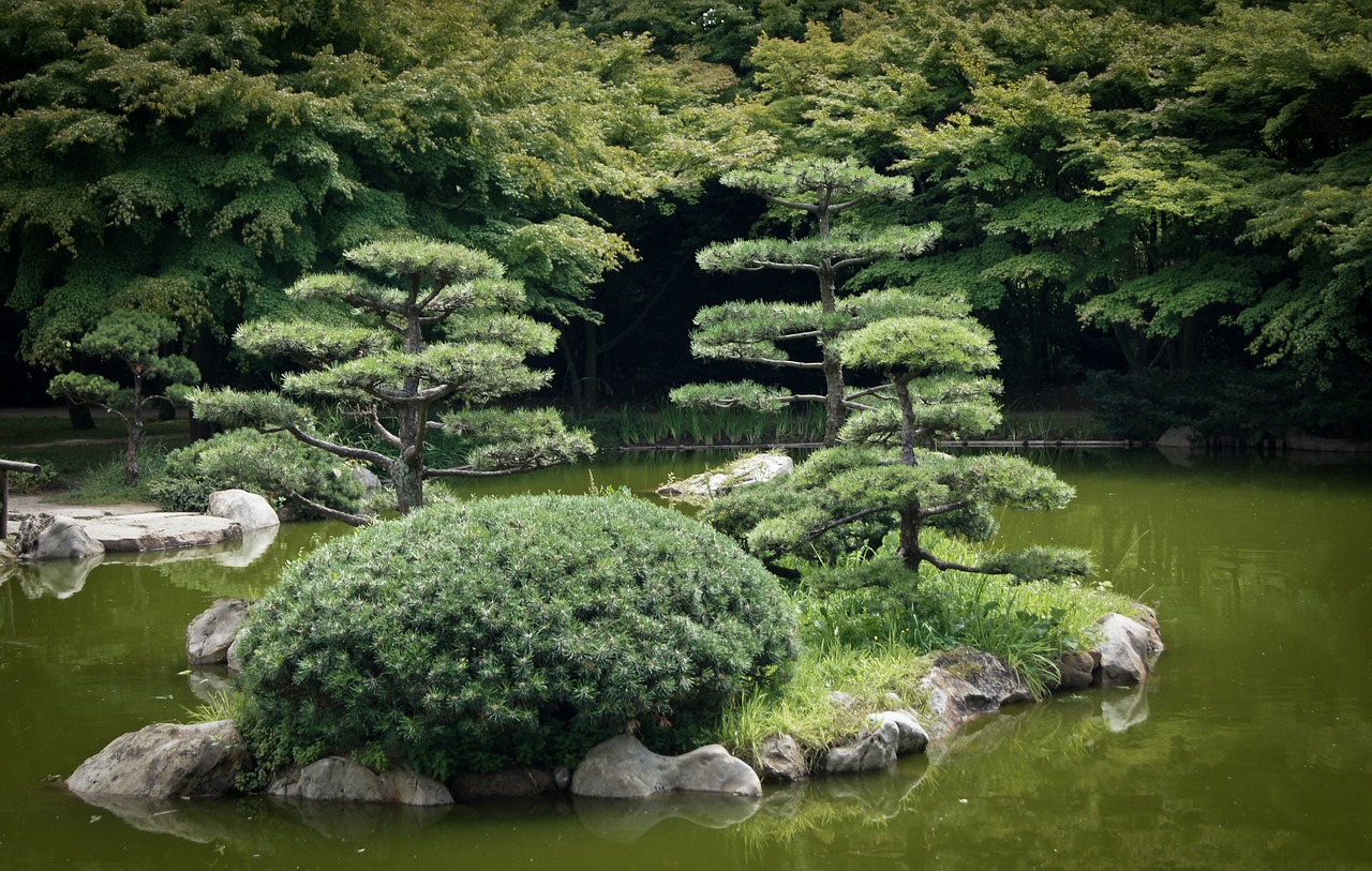 japanese garden lake water free photo