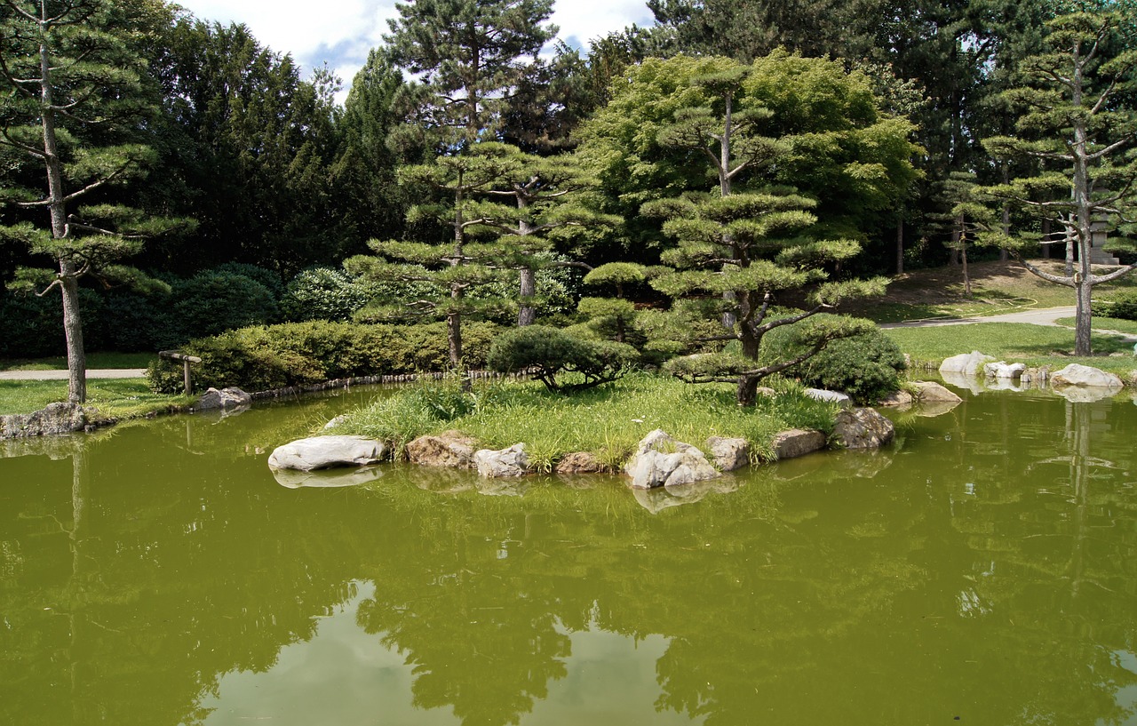 japanese garden lake water free photo