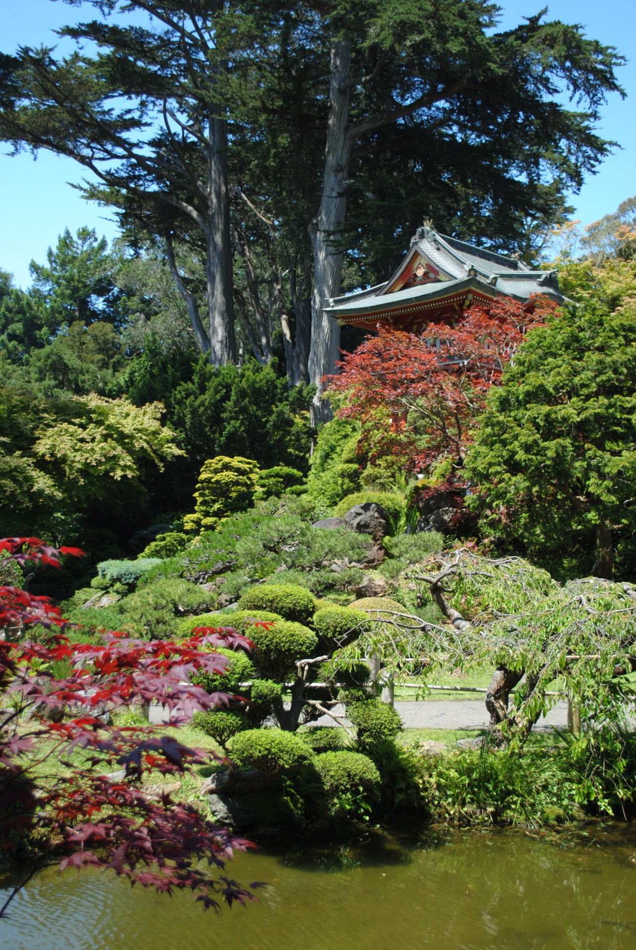 japanese garden garden trees free photo
