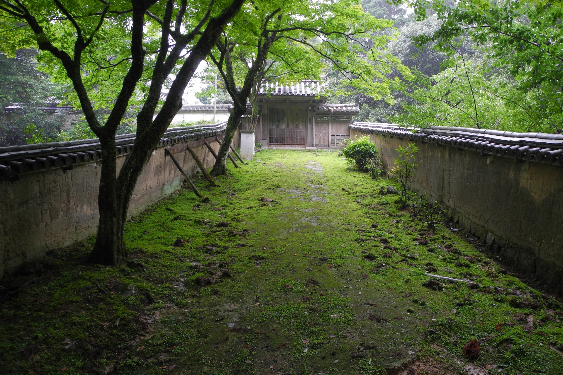 garden temple enkyo-ji free photo