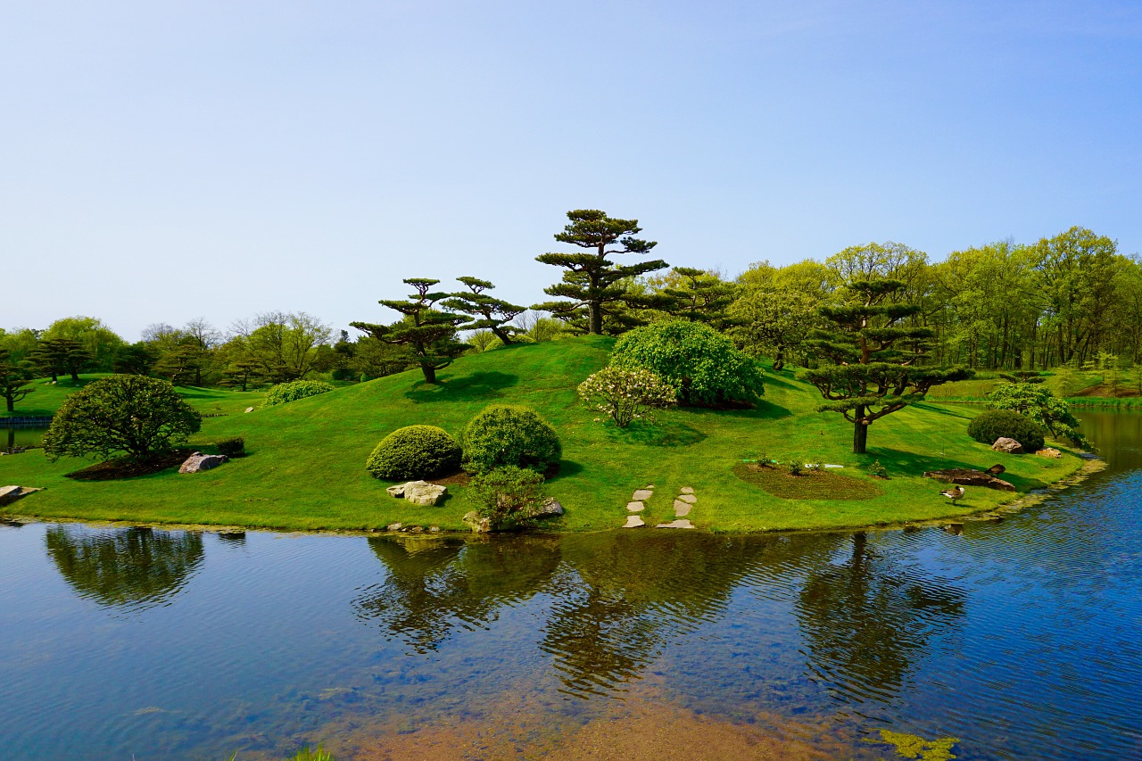 japanese garden trees lake free photo