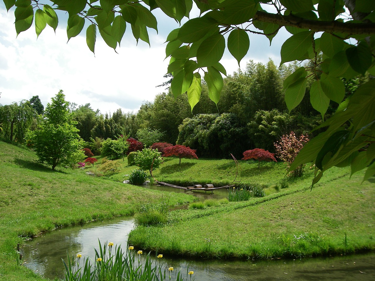 japanese garden garden bamboo south of france free photo