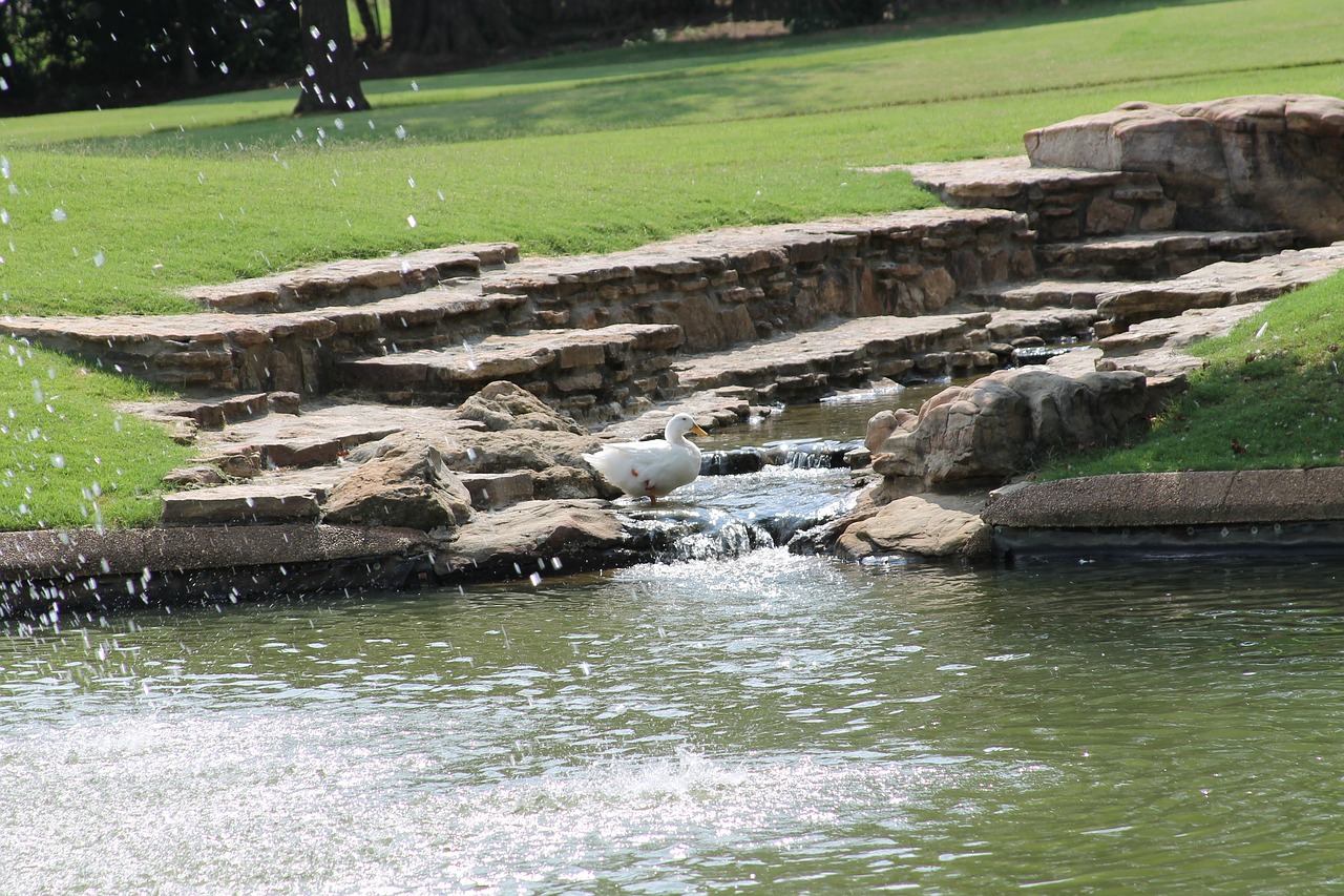 japanese garden bartlett tennessee free photo