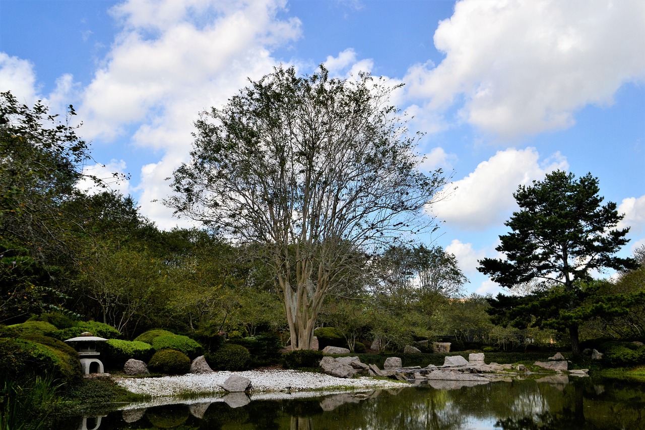japanese garden houston texas free photo