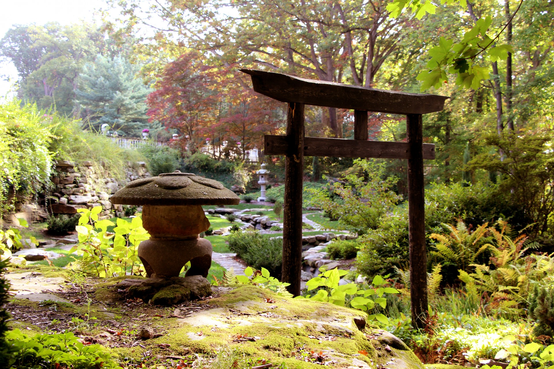 japanese garden japanese garden free photo
