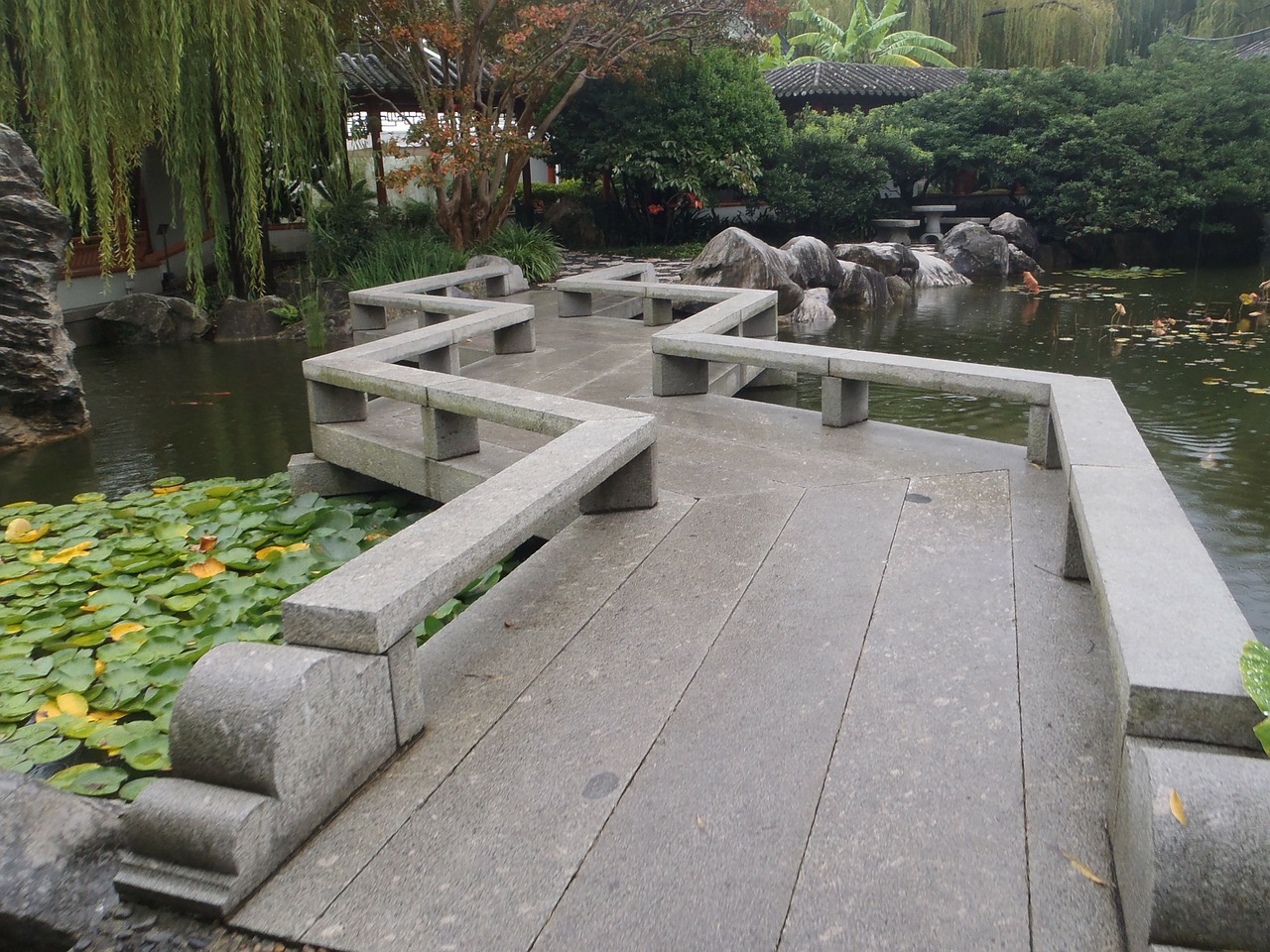 japanese garden garden sydney free photo