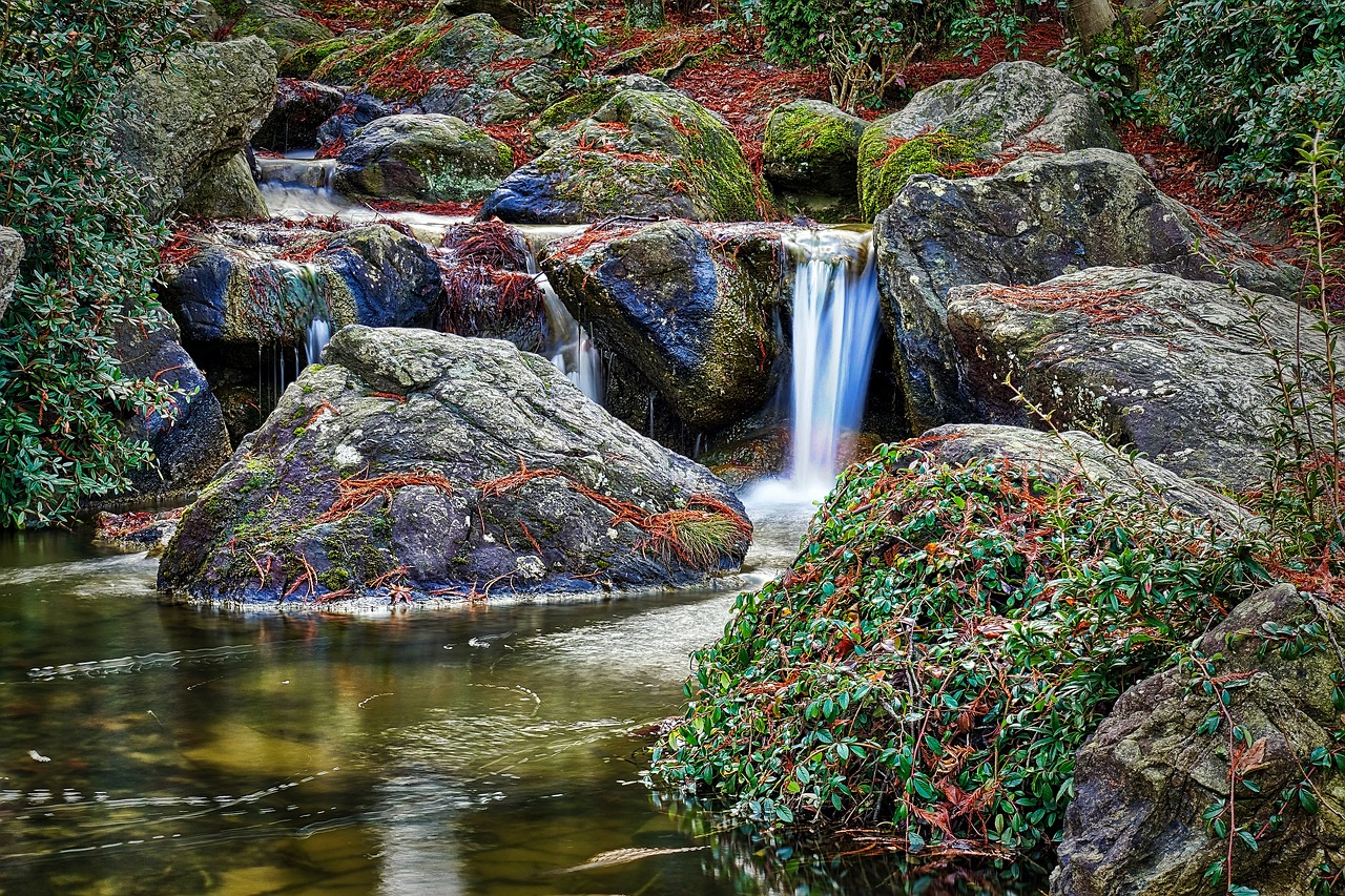 japanese garden  bonn  waters free photo