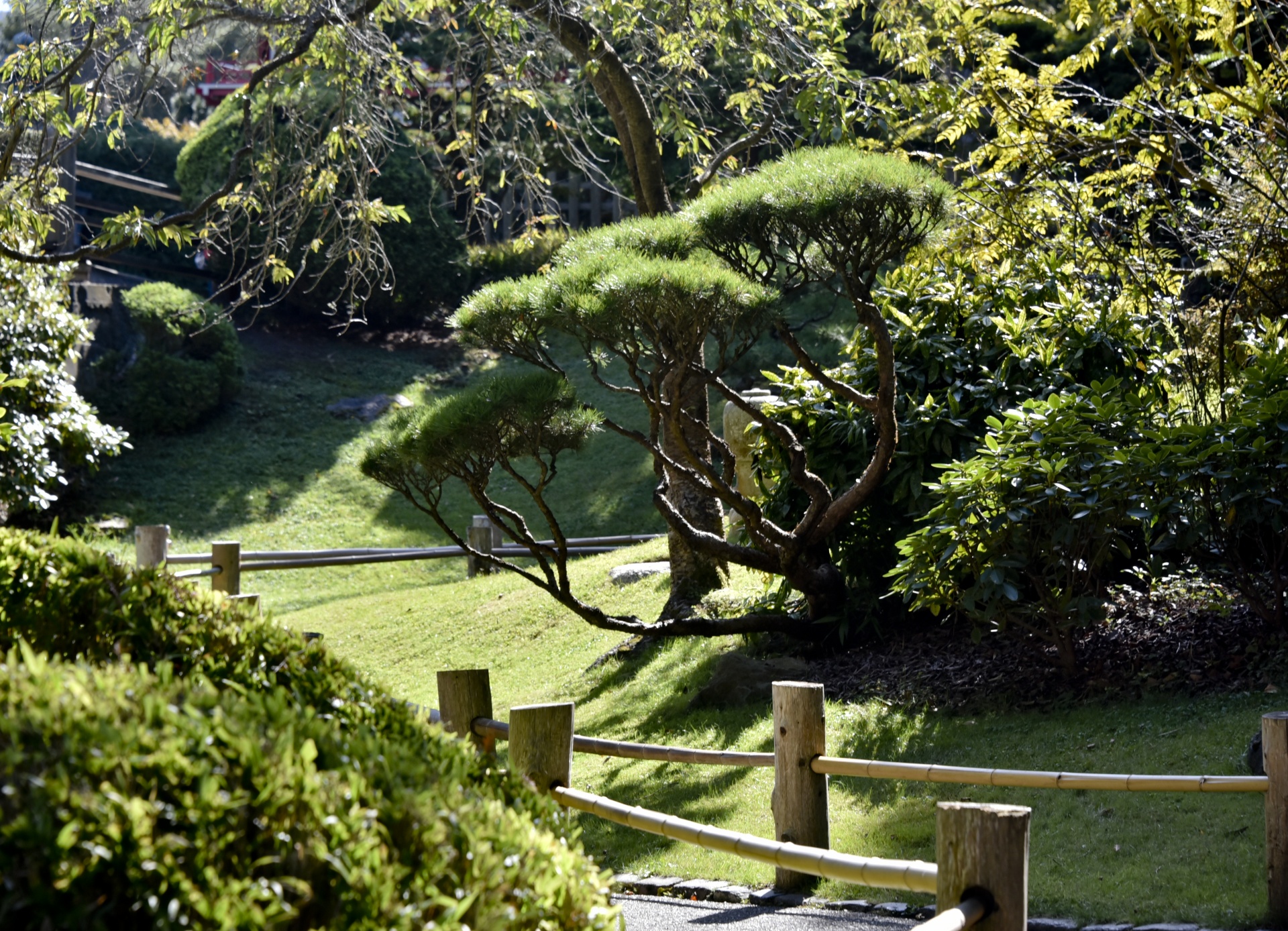 japanese garden walkway free photo