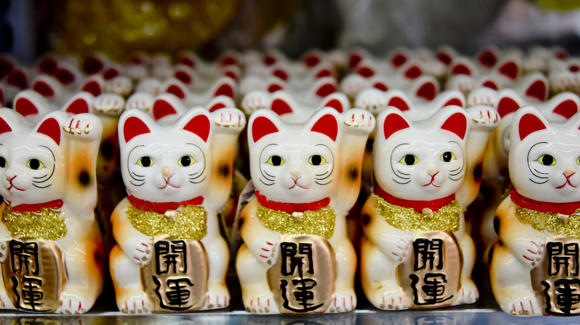 white red lucky cat free photo