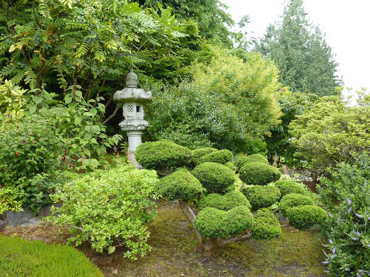 stone lantern lantern japanese stone lantern free photo