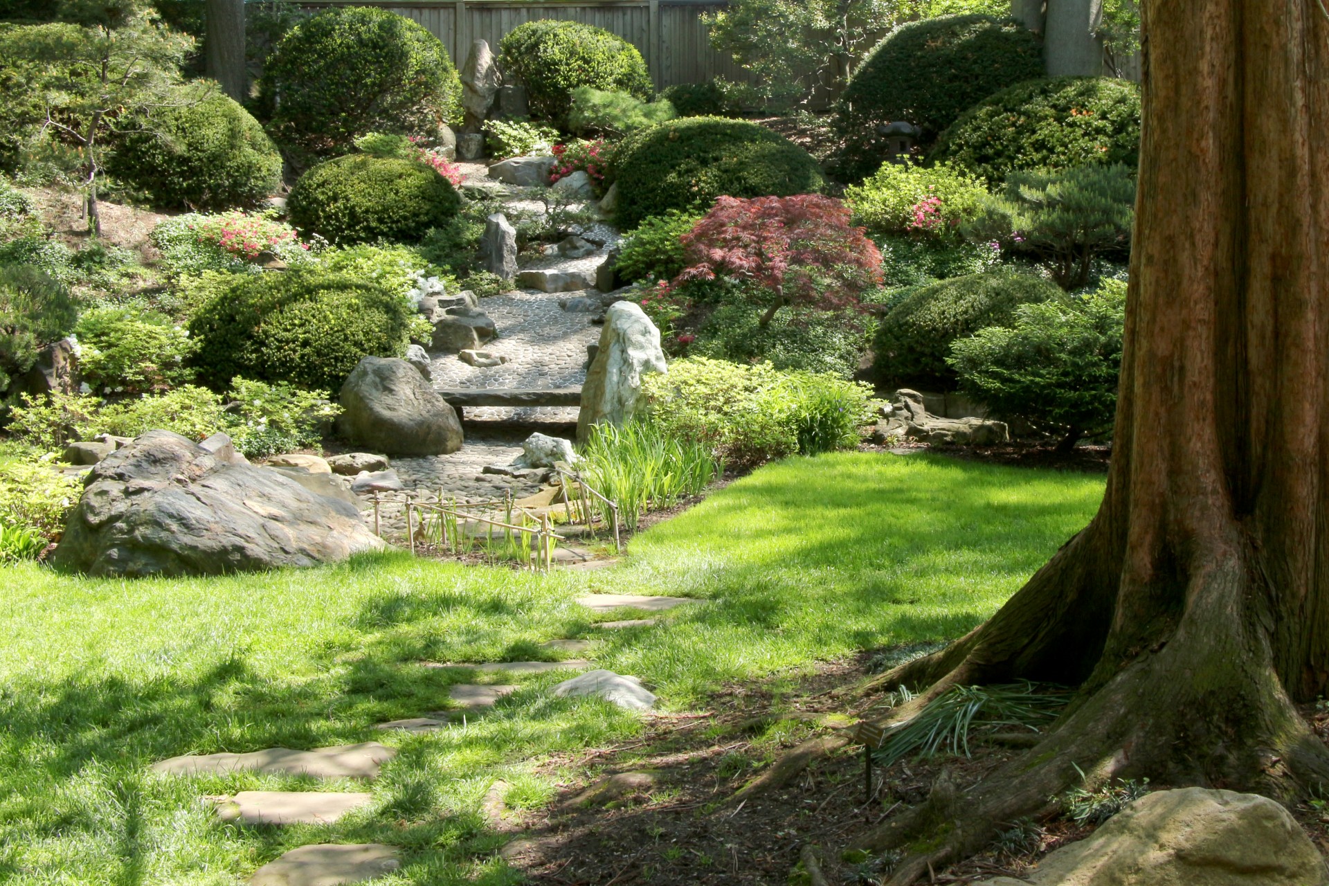 watergarden japanese garden stone garden free photo