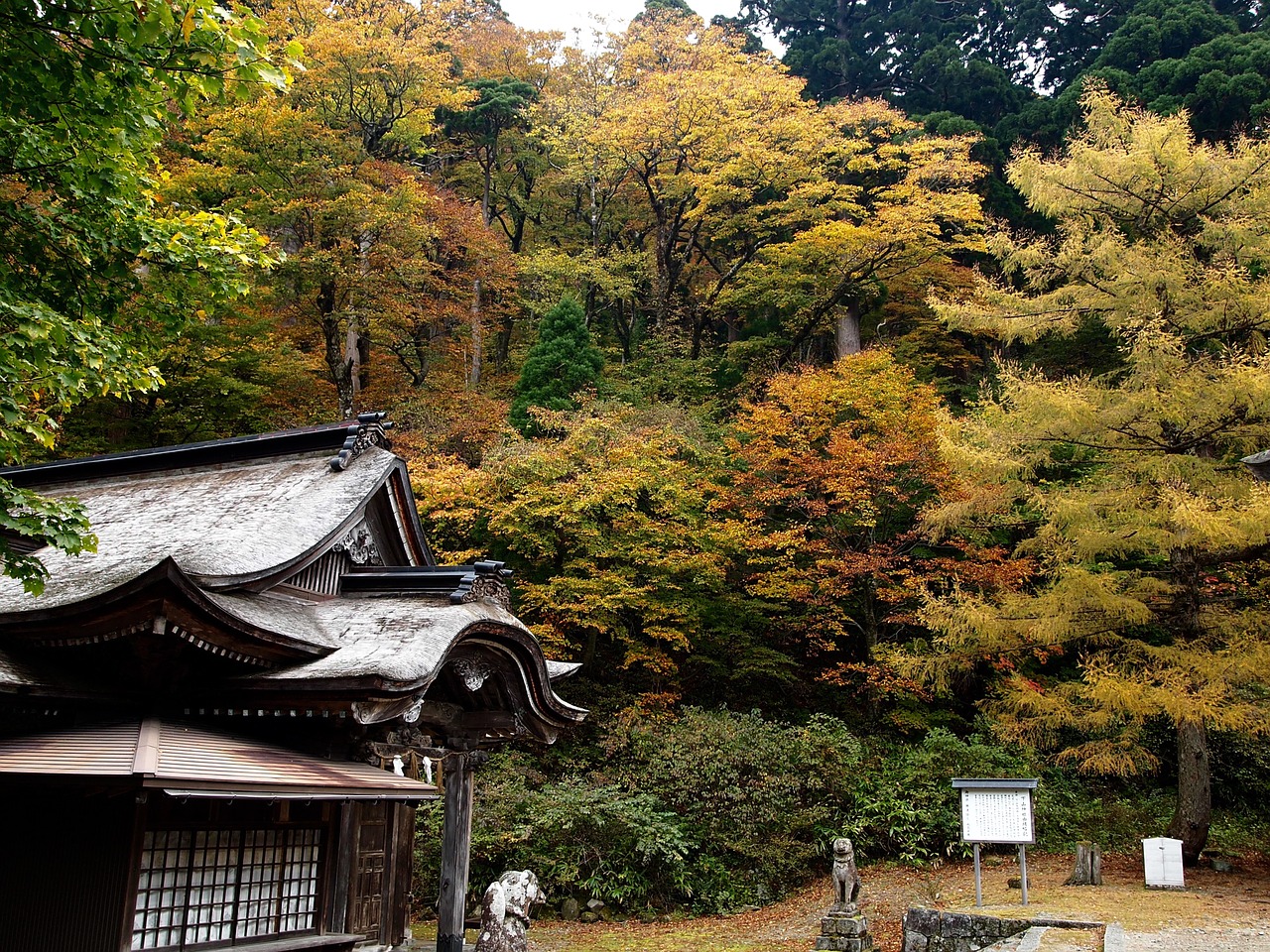 japanese wood tottori mountains free photo