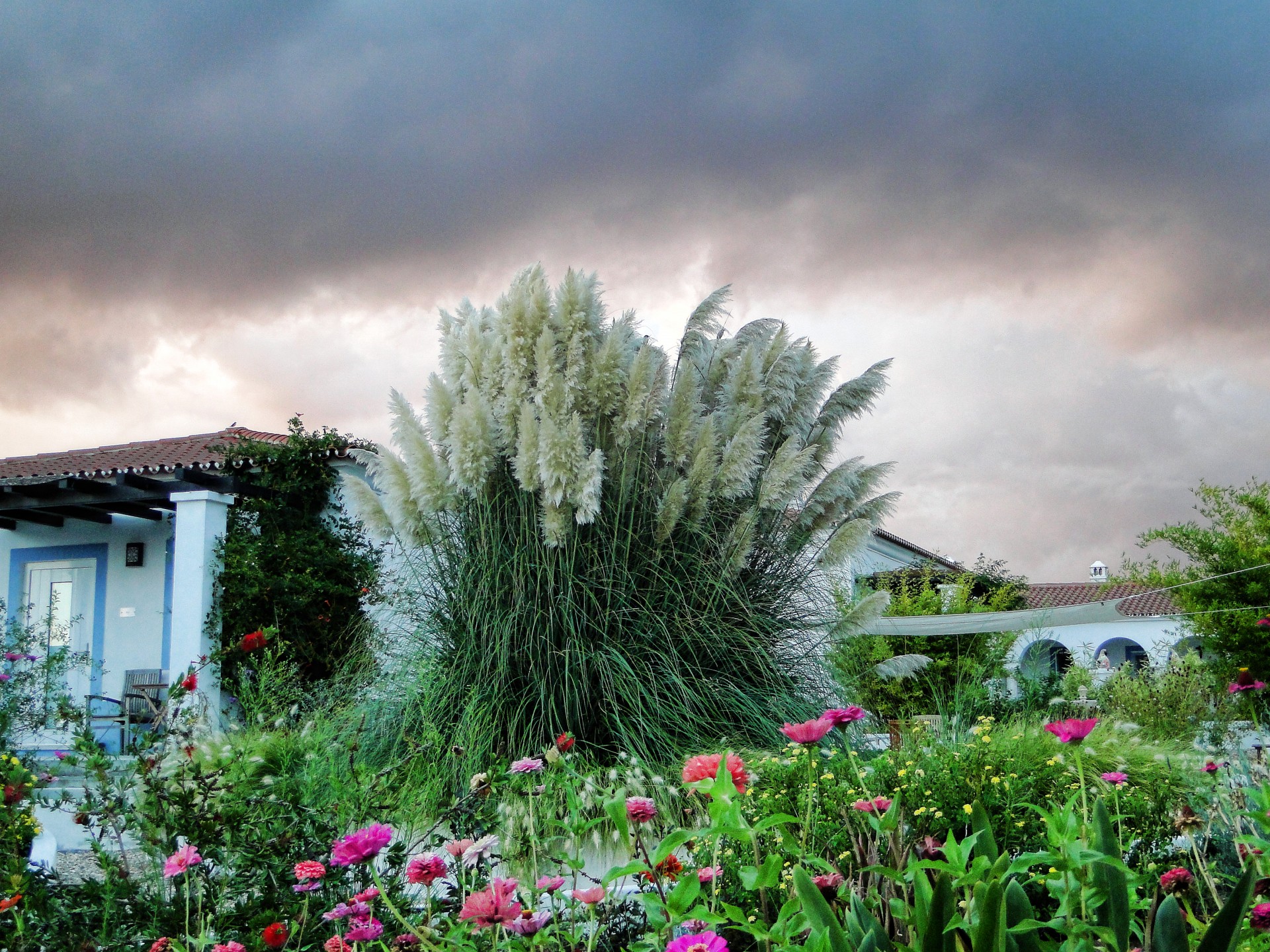 clouds garden flowers free photo