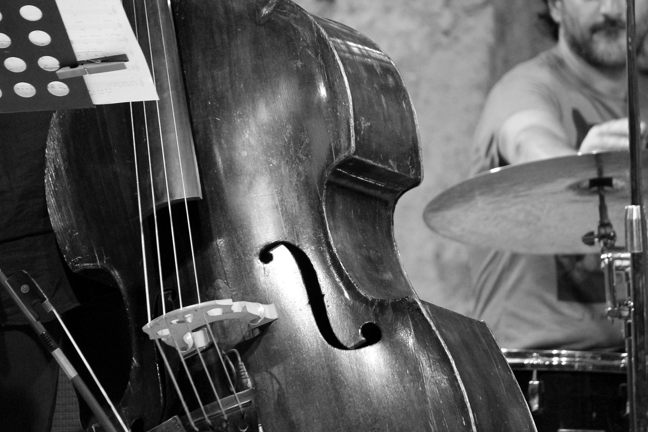 jazz concert double bass free photo