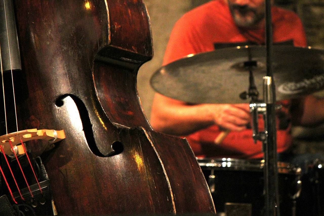 jazz double bass music free photo