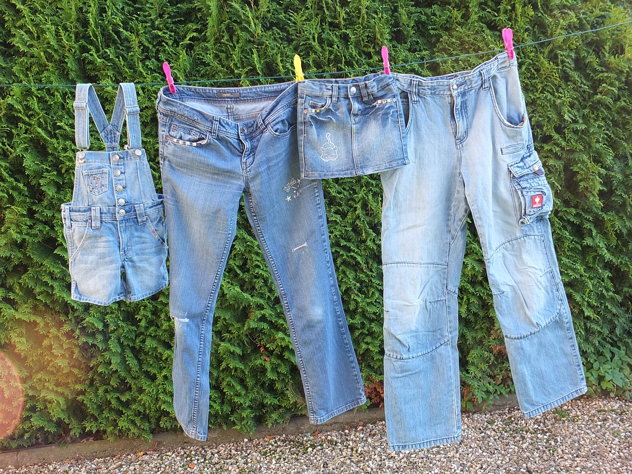 jeans leash laundry free photo