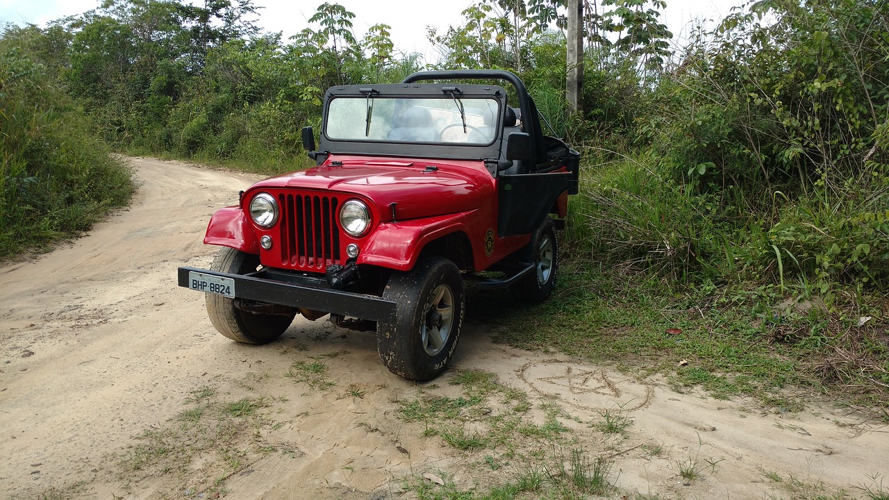 jeep 1962  automobile  transport free photo