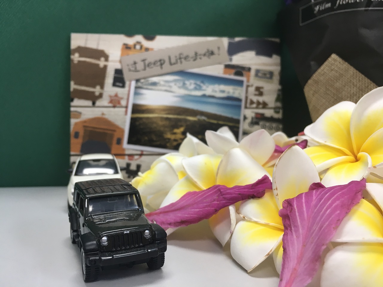 jeep plumeria travel free photo