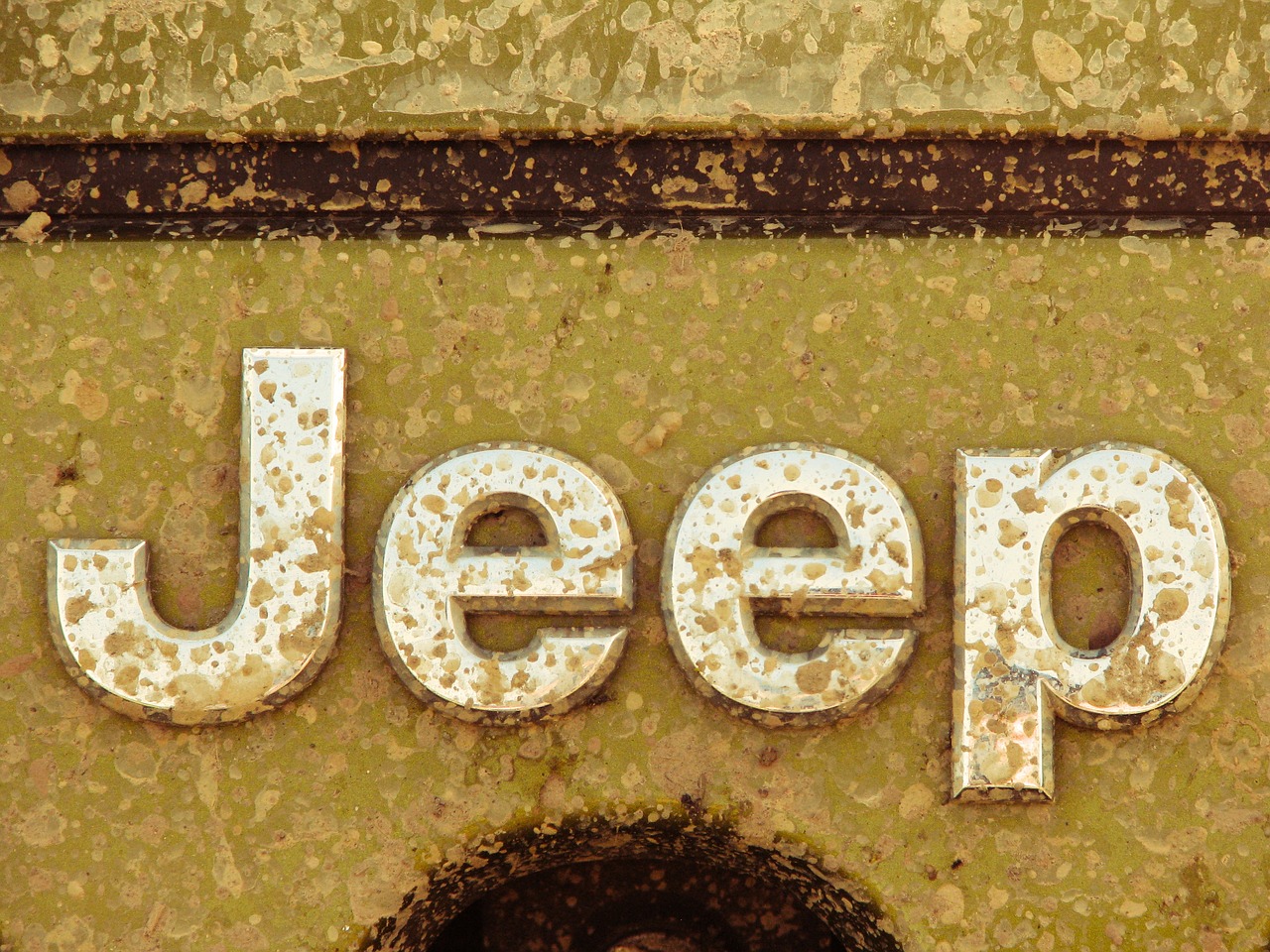 jeep wrangler 4 x 4 off road free photo