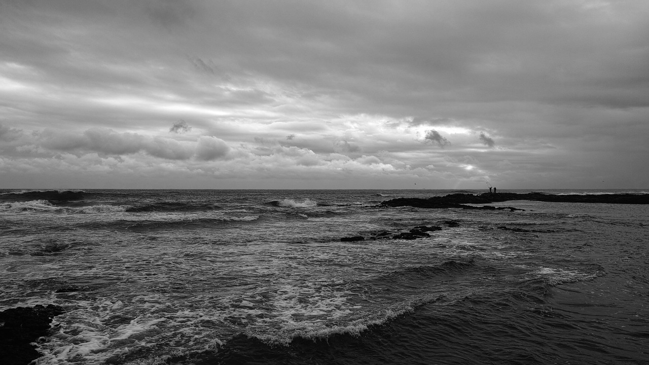 jeju beach fishing free photo