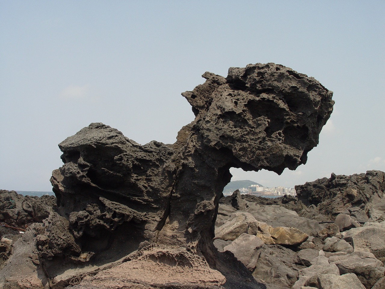 jeju island rock beach free photo