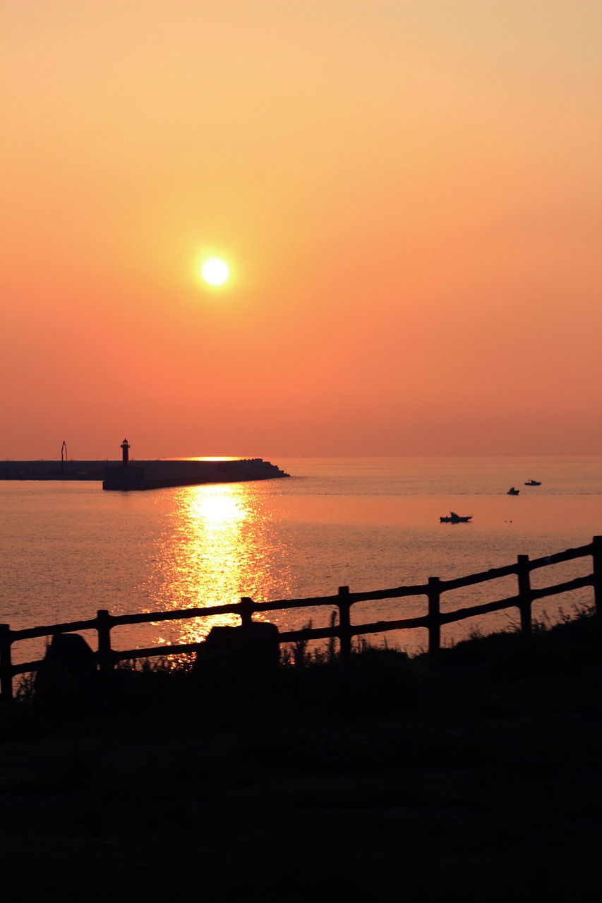 jeju island sunset sea free photo