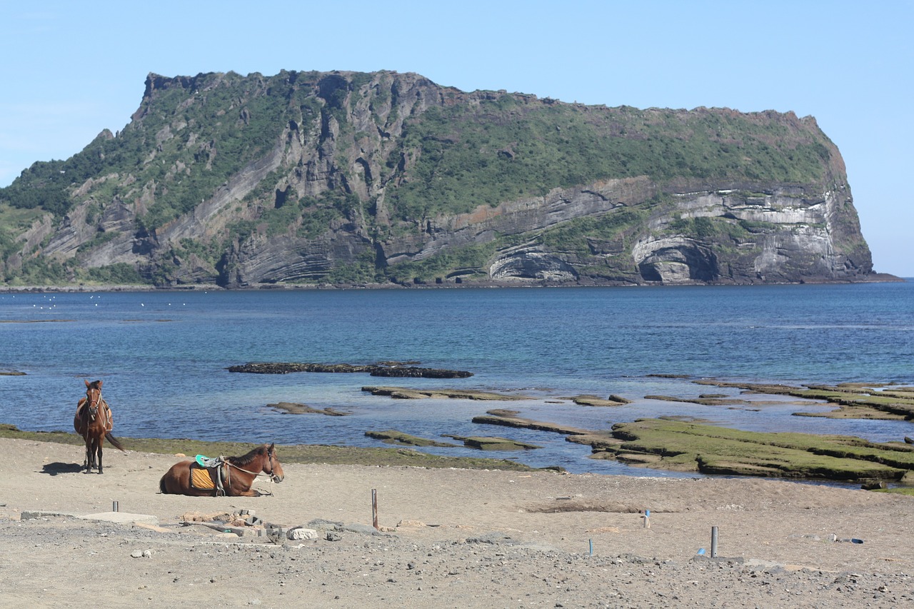 jeju island landscape sea free photo