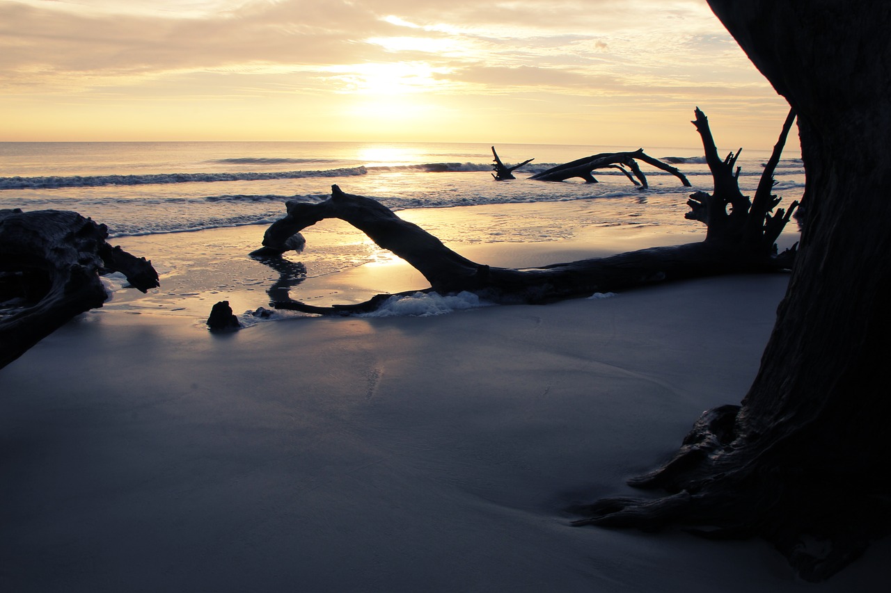 jekyll island  ocean  sunset free photo