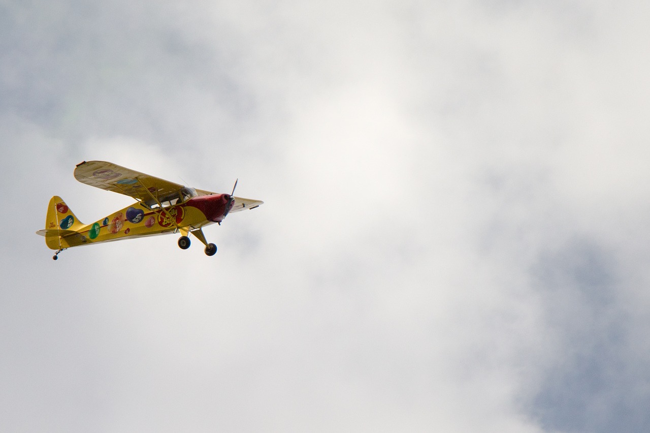 jelly belly airplane aircraft free photo
