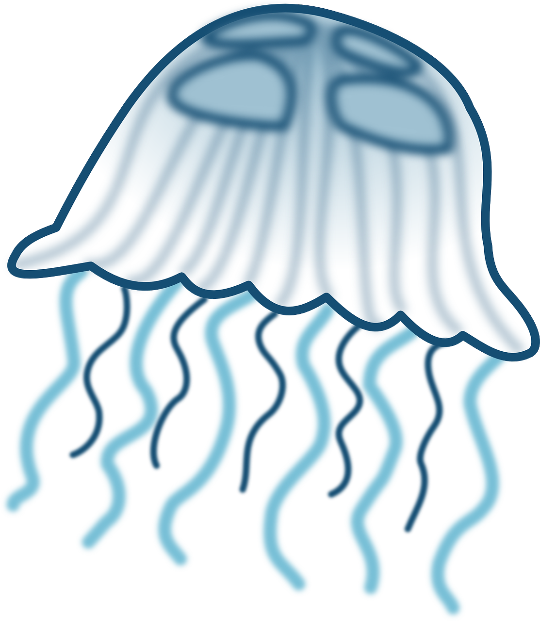 jellyfish tentacles medusa free photo