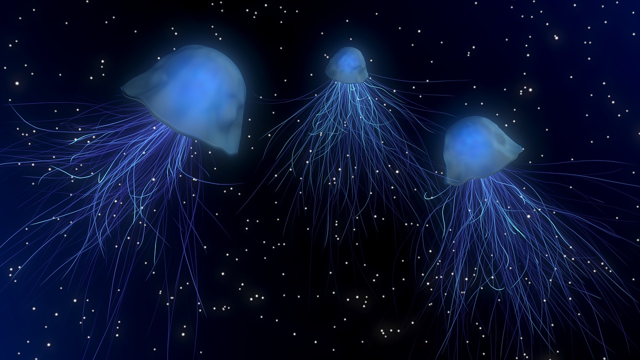 jellyfish deep sea light free photo