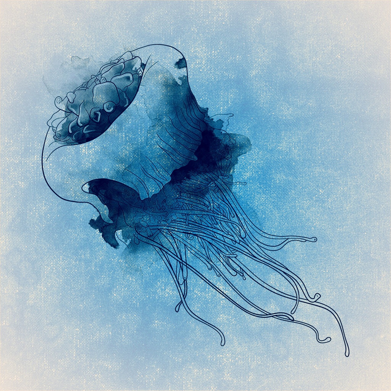 jellyfish underwater world gelatinous free photo