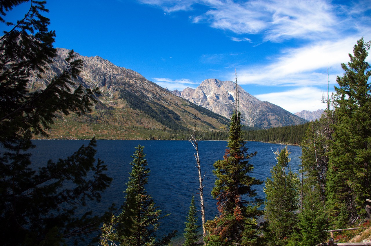 jenny lake vista  lake  mountains free photo