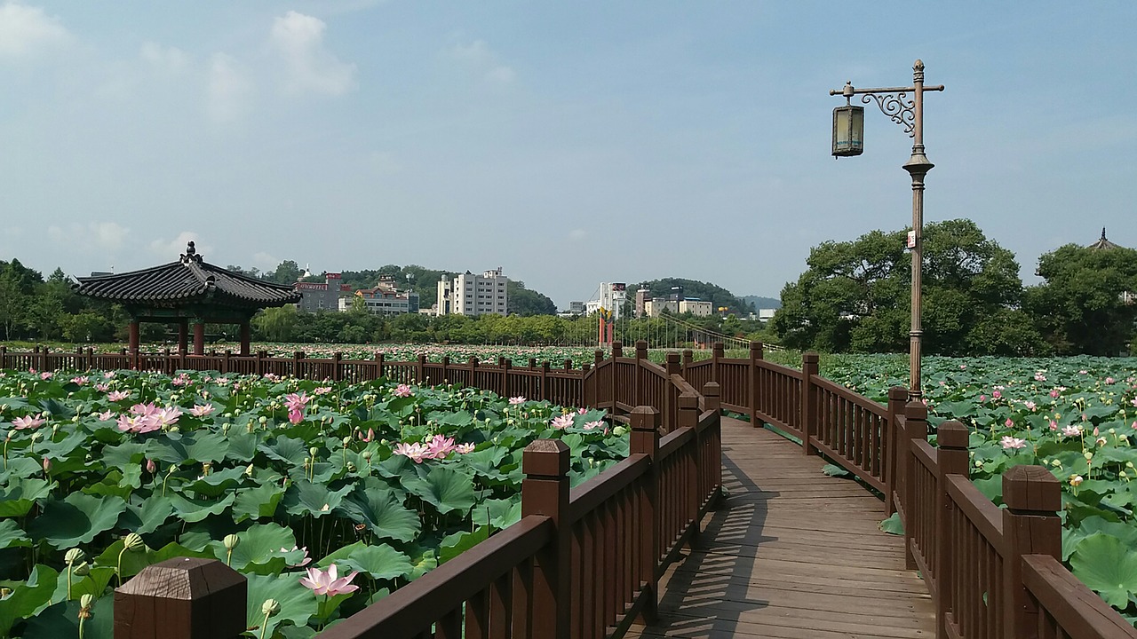 jeonju  deokjin park  republic of korea free photo