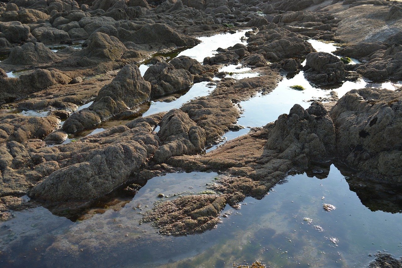 jersey rock pool free photo