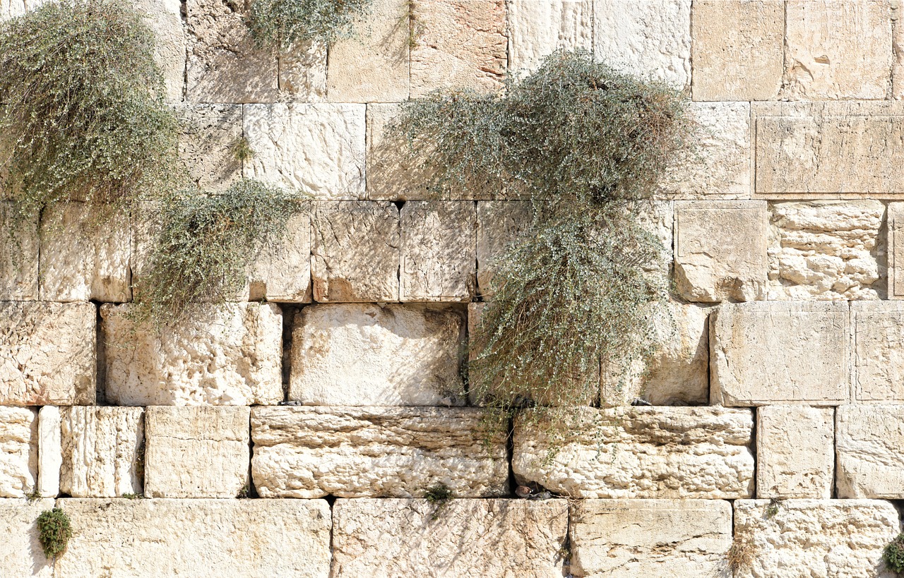 jerusalem the wailing wall israel free photo