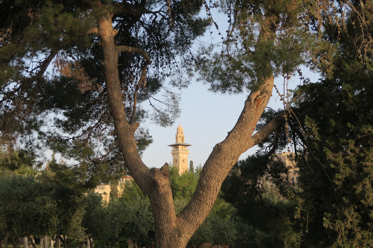 jerusalem  minaret  on free photo