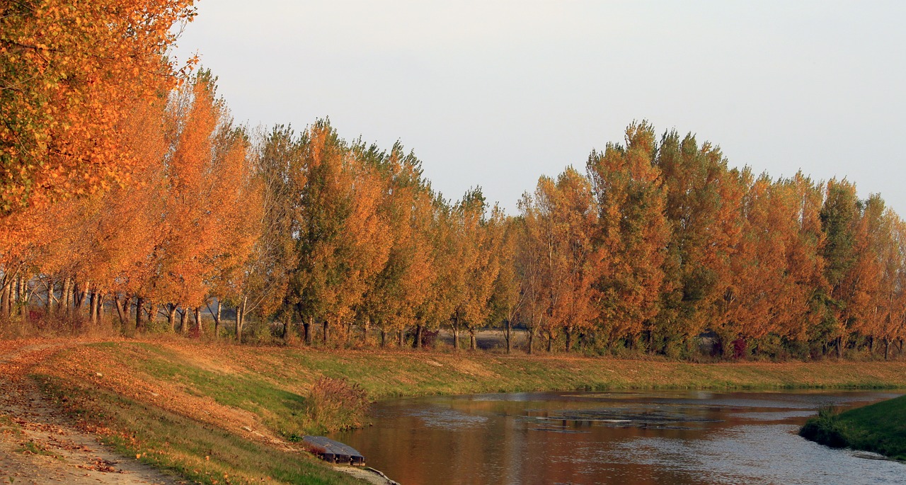 jesen danube cilistov free photo