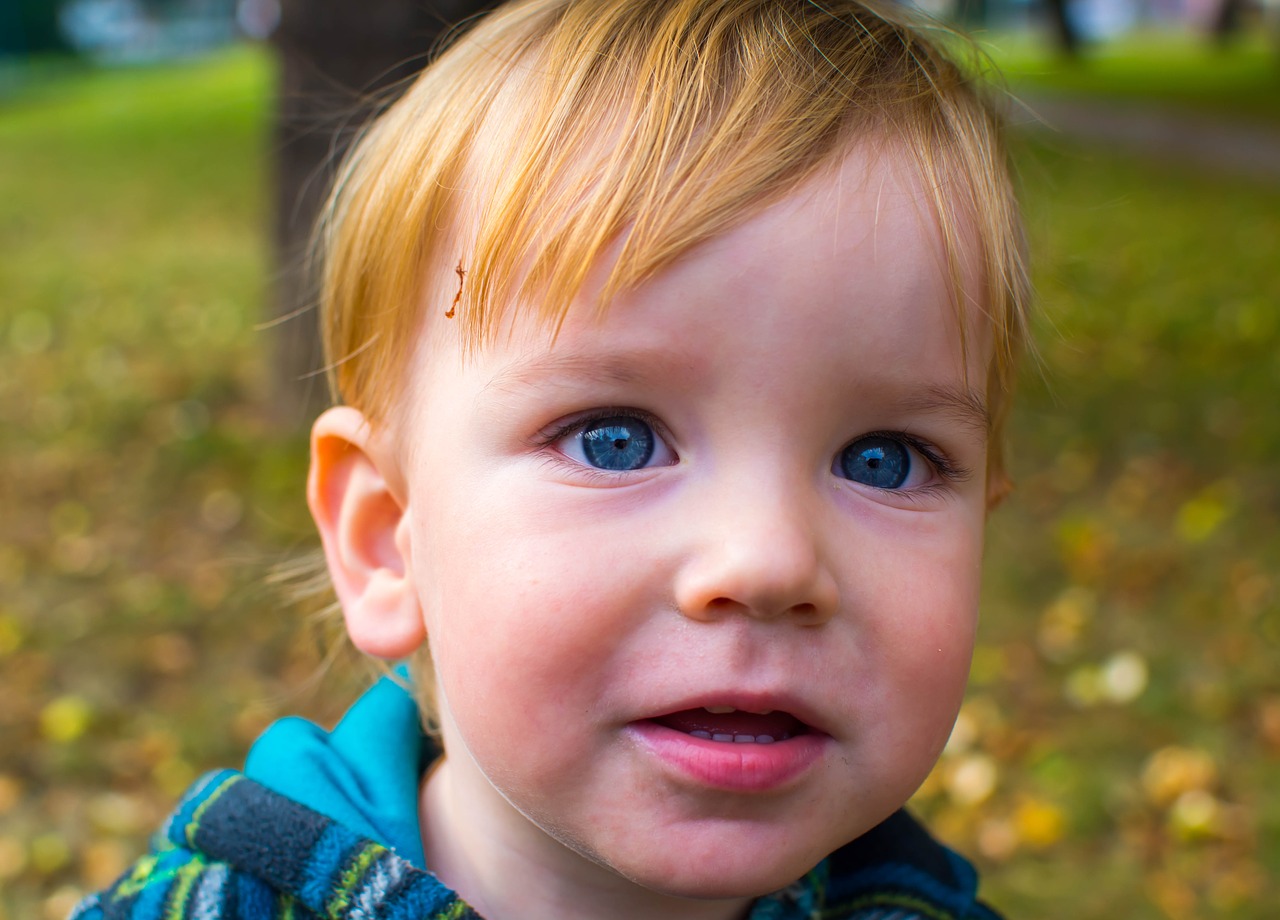 child portrait blue eyes free photo