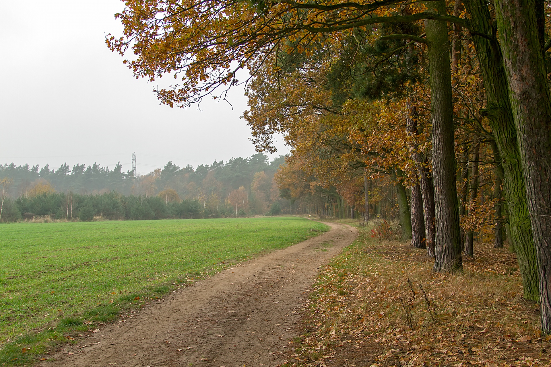 autumn colors autumn red free photo