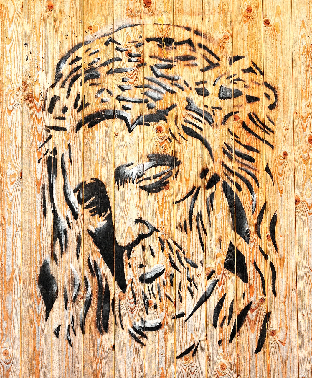 jesus portrait image free photo