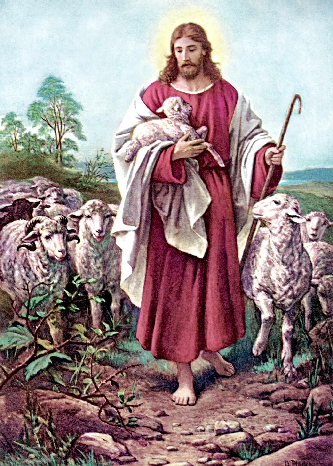 good shepherd jesus lamb free photo